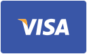 Accept Visa payments online